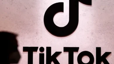 TikTok Logosu